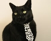 _逆转奇迹！弱者变强者，比赛精彩纷呈_，弱者变成强者的名人真实事例