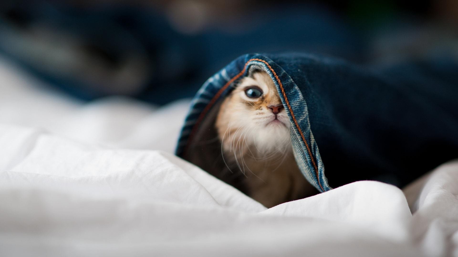 华体会hth官方网站下载-《电竞培训热潮：年轻人争相投身职业赛场》，电竞 培训