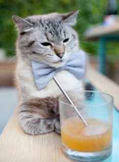 互联网大数据助力中国足球赛场分析,足球比赛大数据分析app