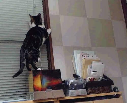 华体会hthapp下载入口-中超年度最具潜力新人榜单发布，中超最佳新人