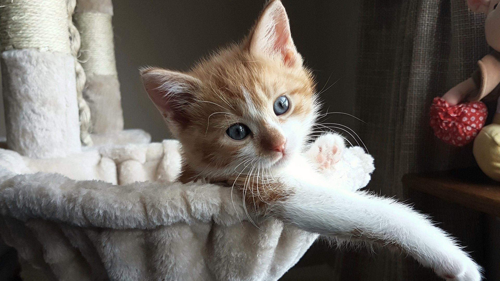 华体会hth在线登录-历史传奇：那些永远铭记的篮球之夜，篮球大历史歌曲