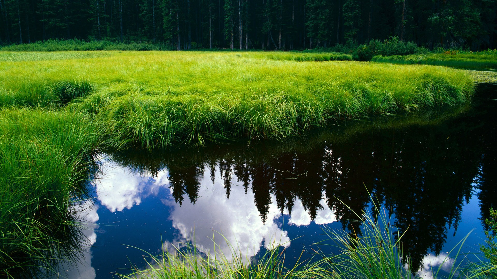 华体会登录最新地址-史上最大“逆转骑士”崛起，奇迹不断！，ps3逆转骑士