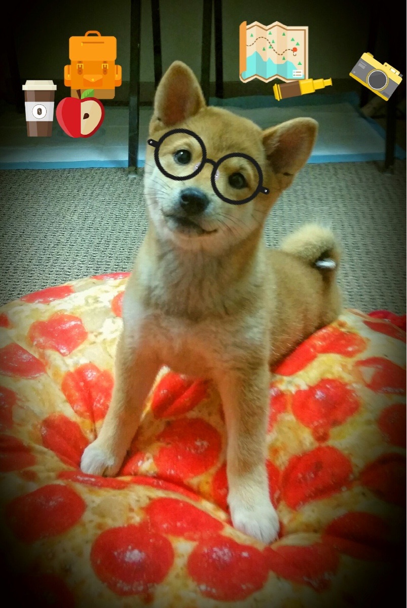 史上“最精彩”的团队配合瞬间,战术大展示!,团队搭配的黄金法则