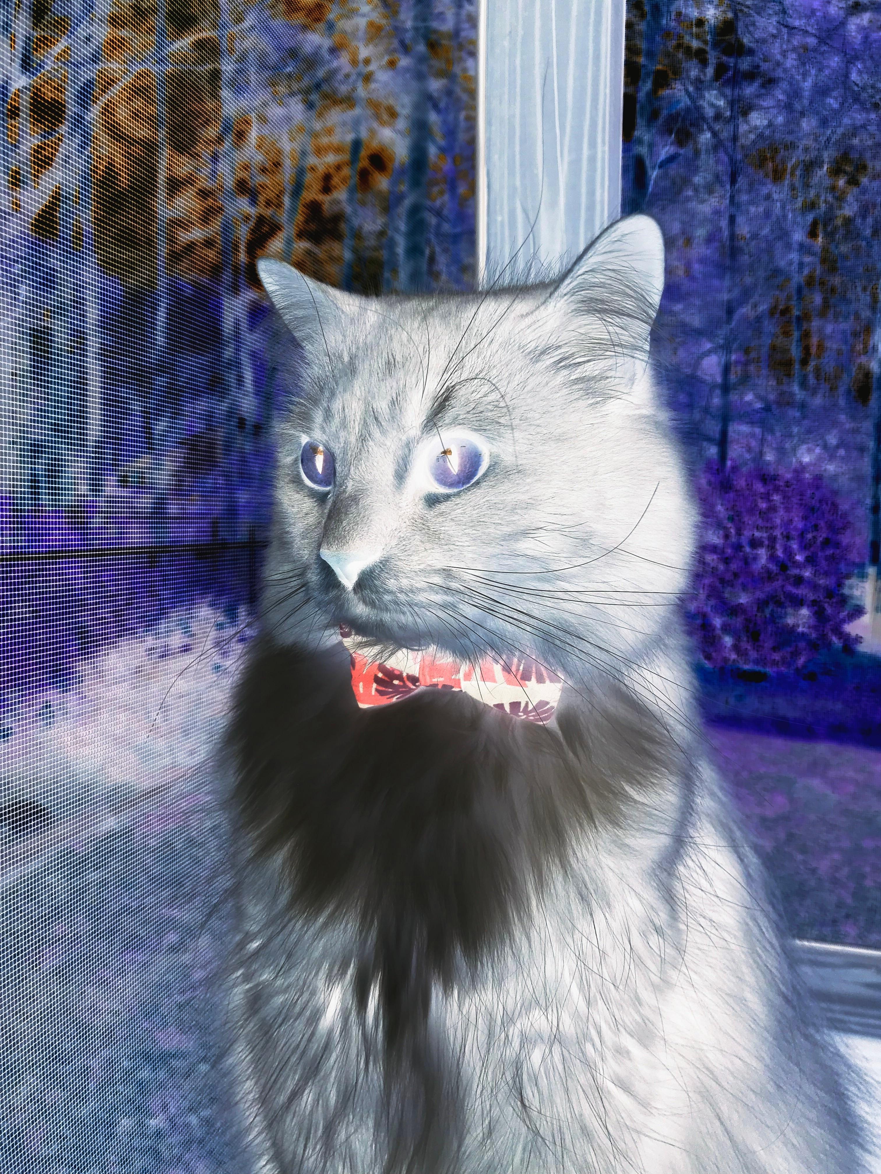 李宁签约NBA新秀,国产品牌再掀热潮,李宁签约的nba新秀