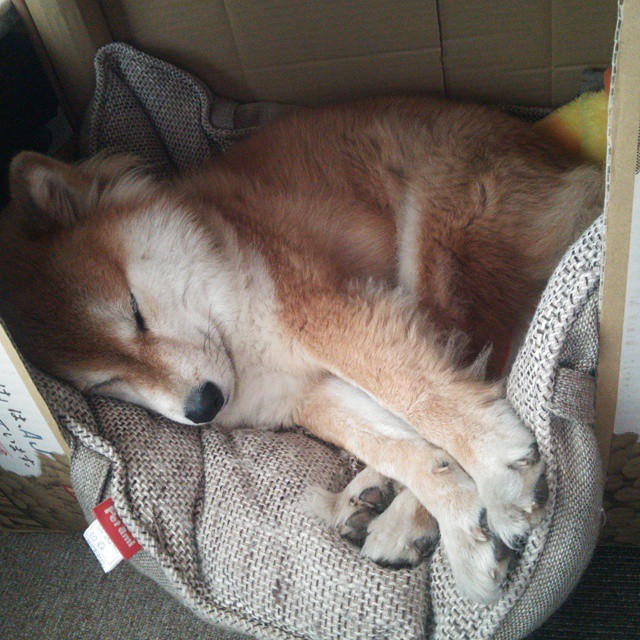 青训赛事“全景式直播”全面推行,助力青少年成长路径透明化,2021青训