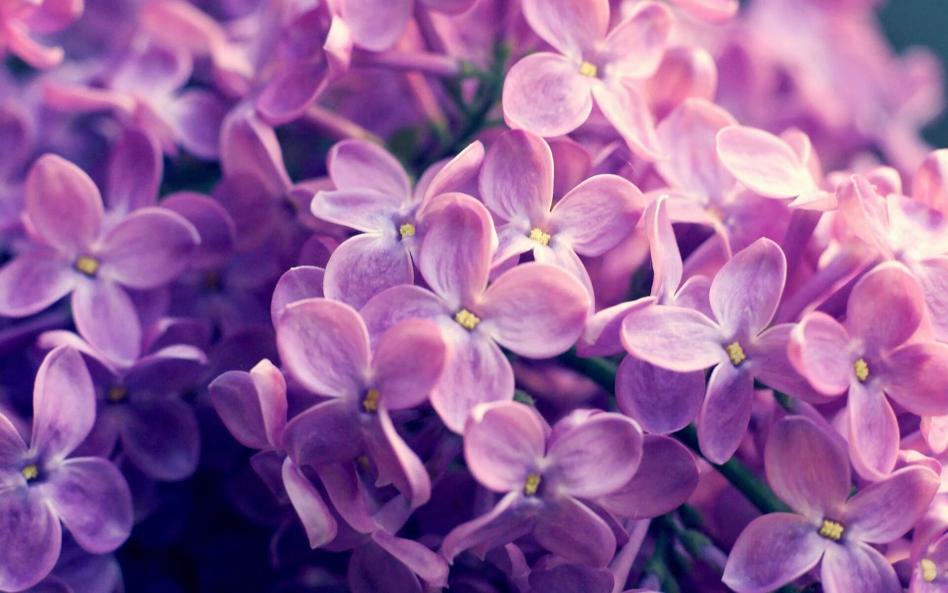 青年篮球联赛推动区域体育均衡发展,篮球青年比赛