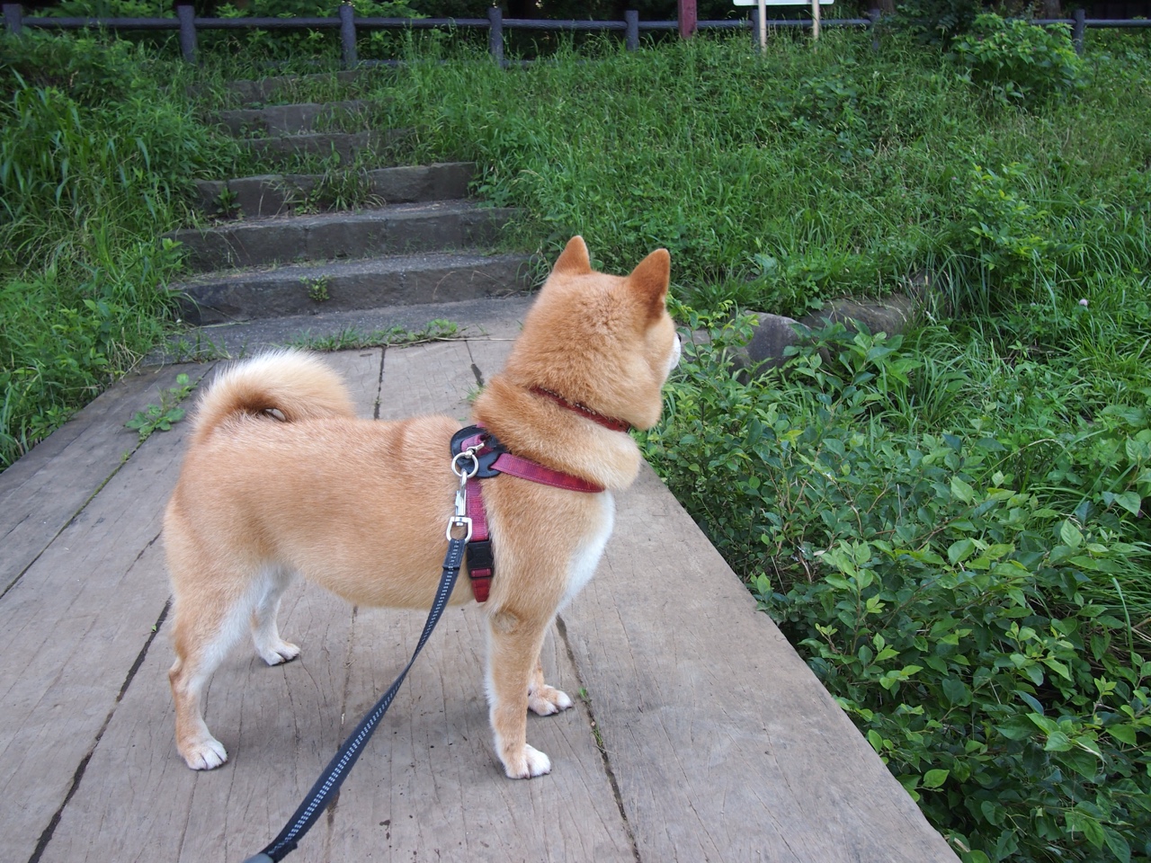 FaZe出席英雄联盟电竞高峰论坛,faze战队成员csgo2020