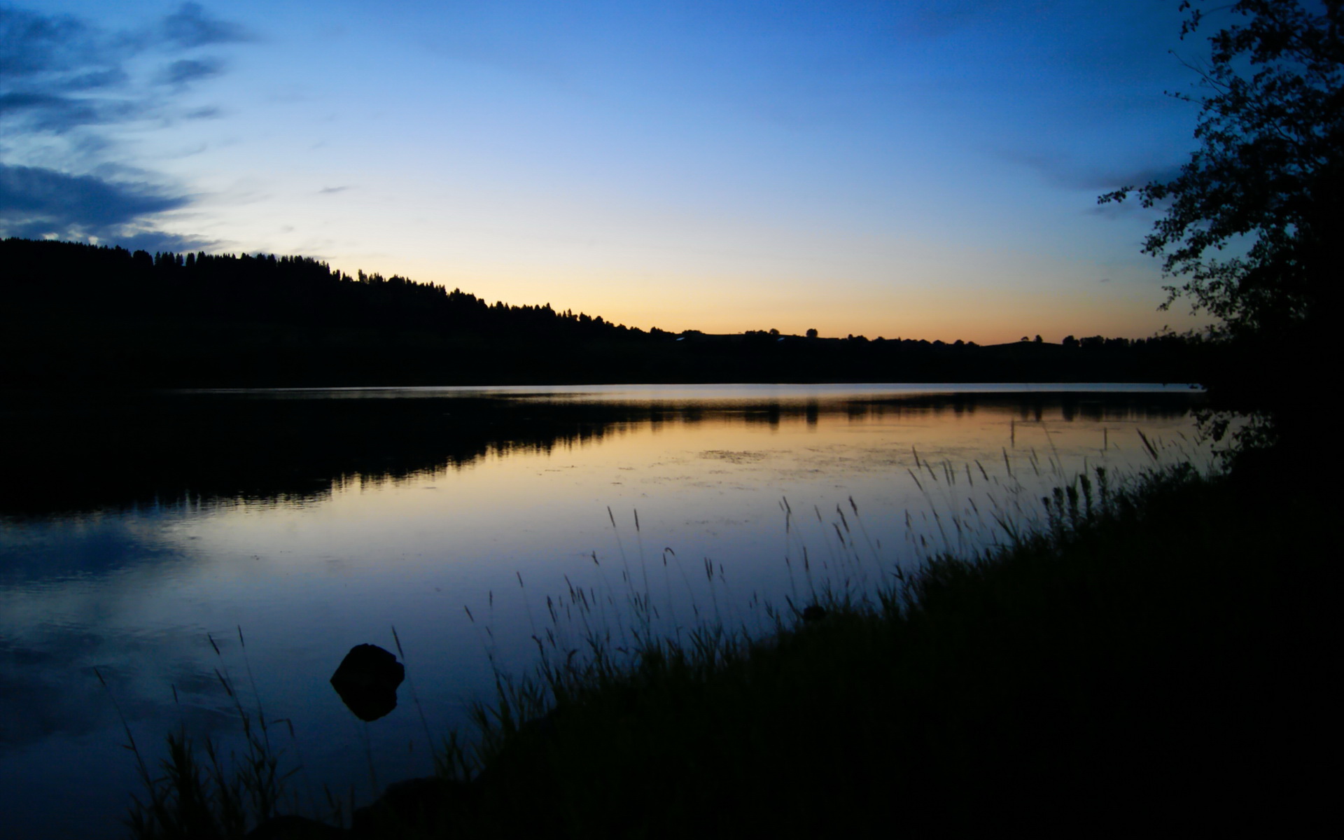 哥伦比亚女足在巴黎奥运会上展现出强大的进攻火力，奥运会哥伦比亚女神