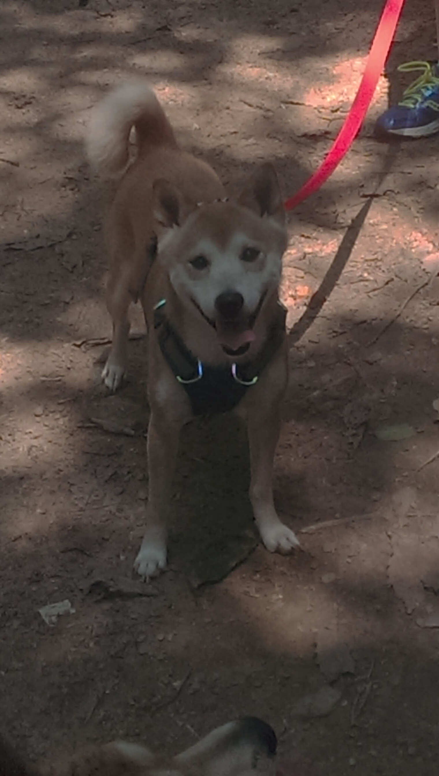 华体会hth在线登录-电竞战队品牌建设与粉丝经济开发的成功经验分享，电竞战队成员分工