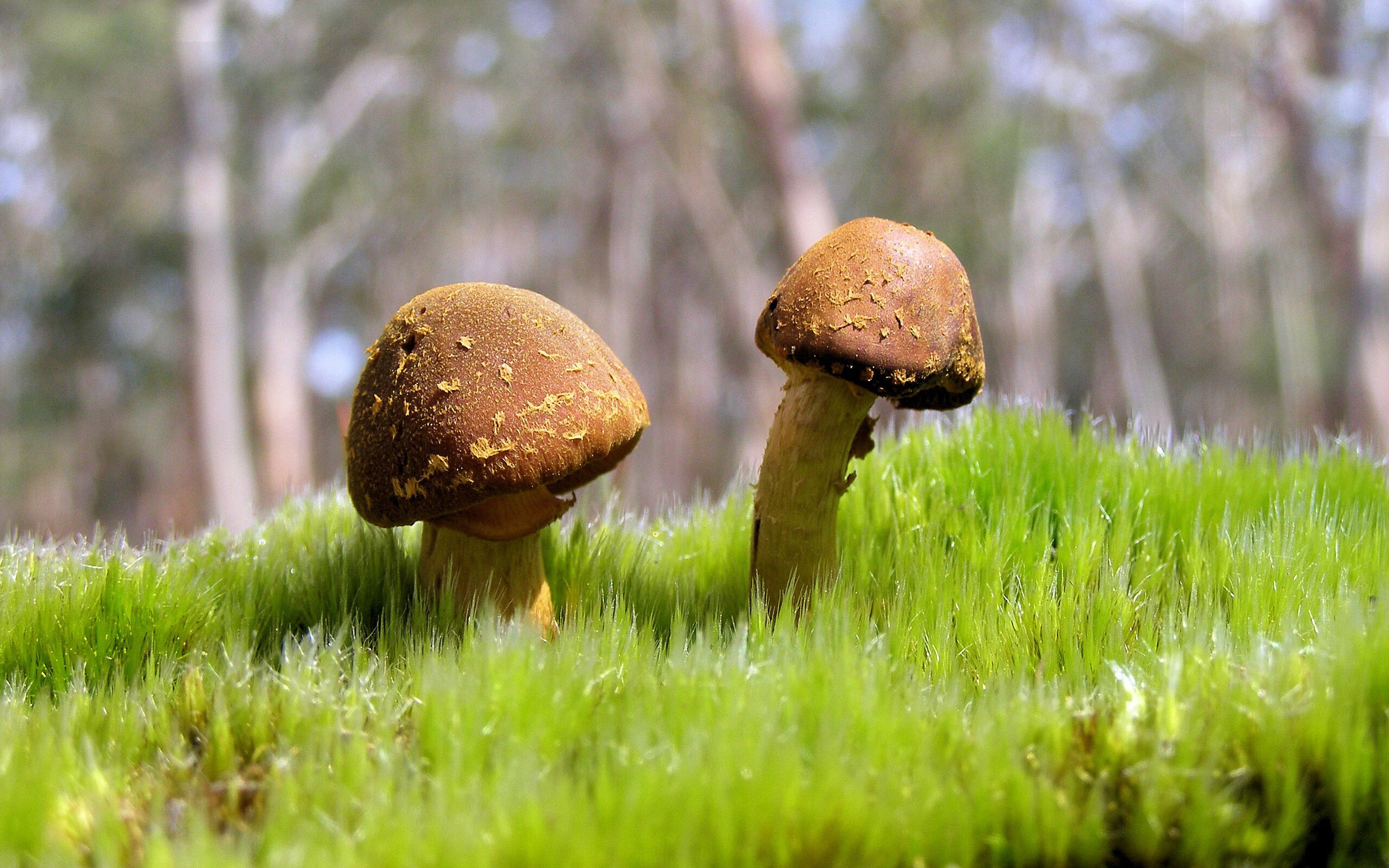 赫尔辛基主场失利,逆风而行需要努力,赫尔辛基俱乐部