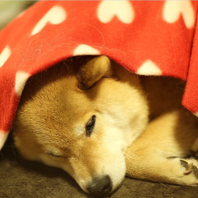 华体会hth网站-足球运动普及是否面临社会观念障碍，现代足球运动对社会的作用