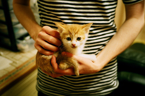 华体会hth-马竞主场1-0小胜阿拉维斯，艰难取胜，马竞进攻