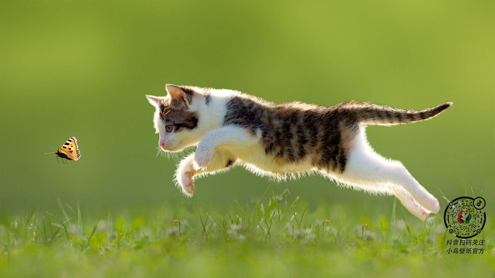 CBA球队青训梯队建设成果显现,cba青训队怎么选人