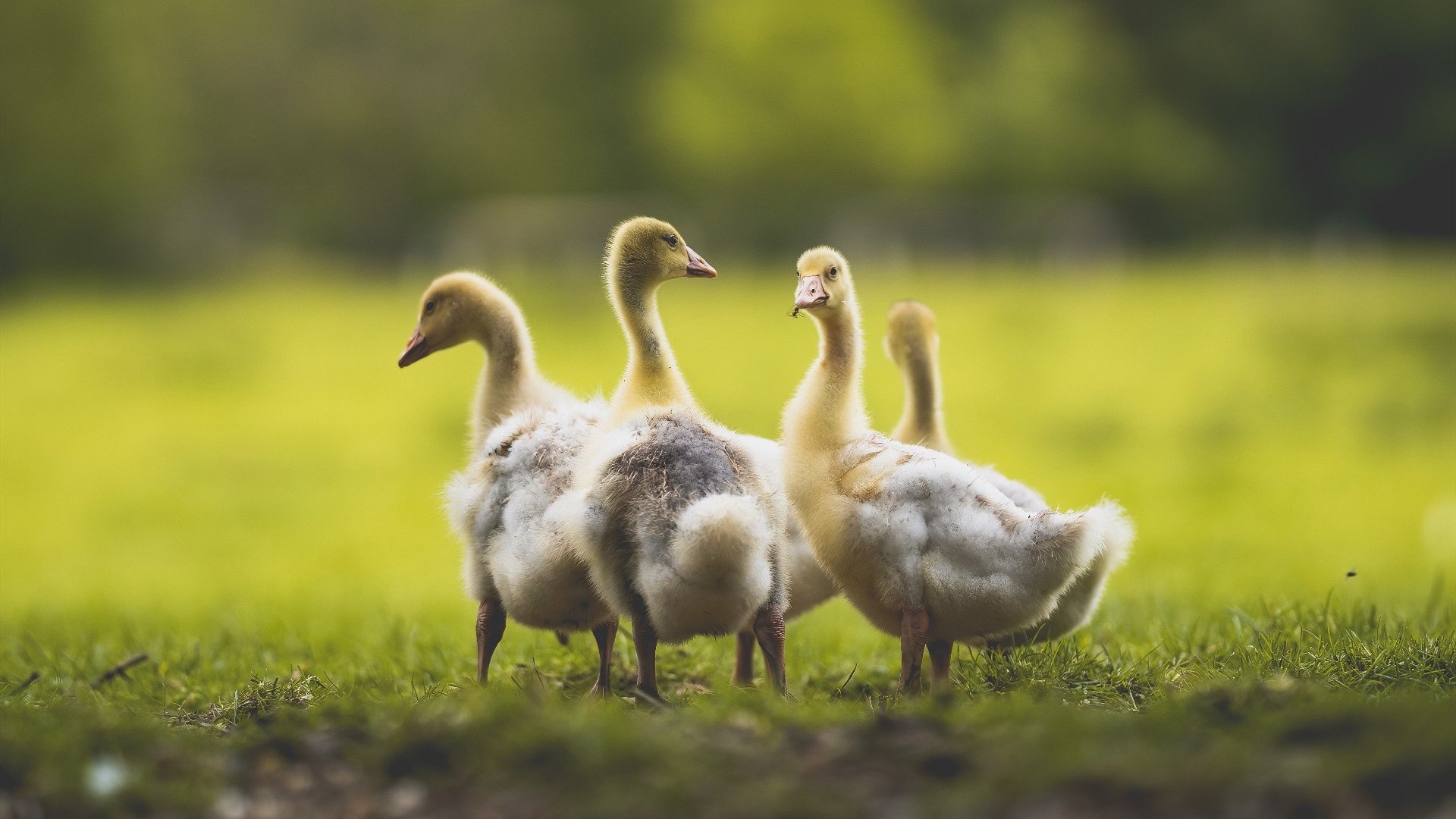 体育新闻中心上线体育内容智能生成与管理平台，体育新闻资讯