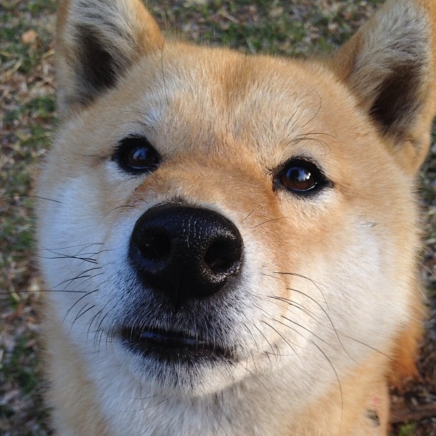 华体会app安装-搏击赛事规则调整强调安全防护措施，搏击比赛规则