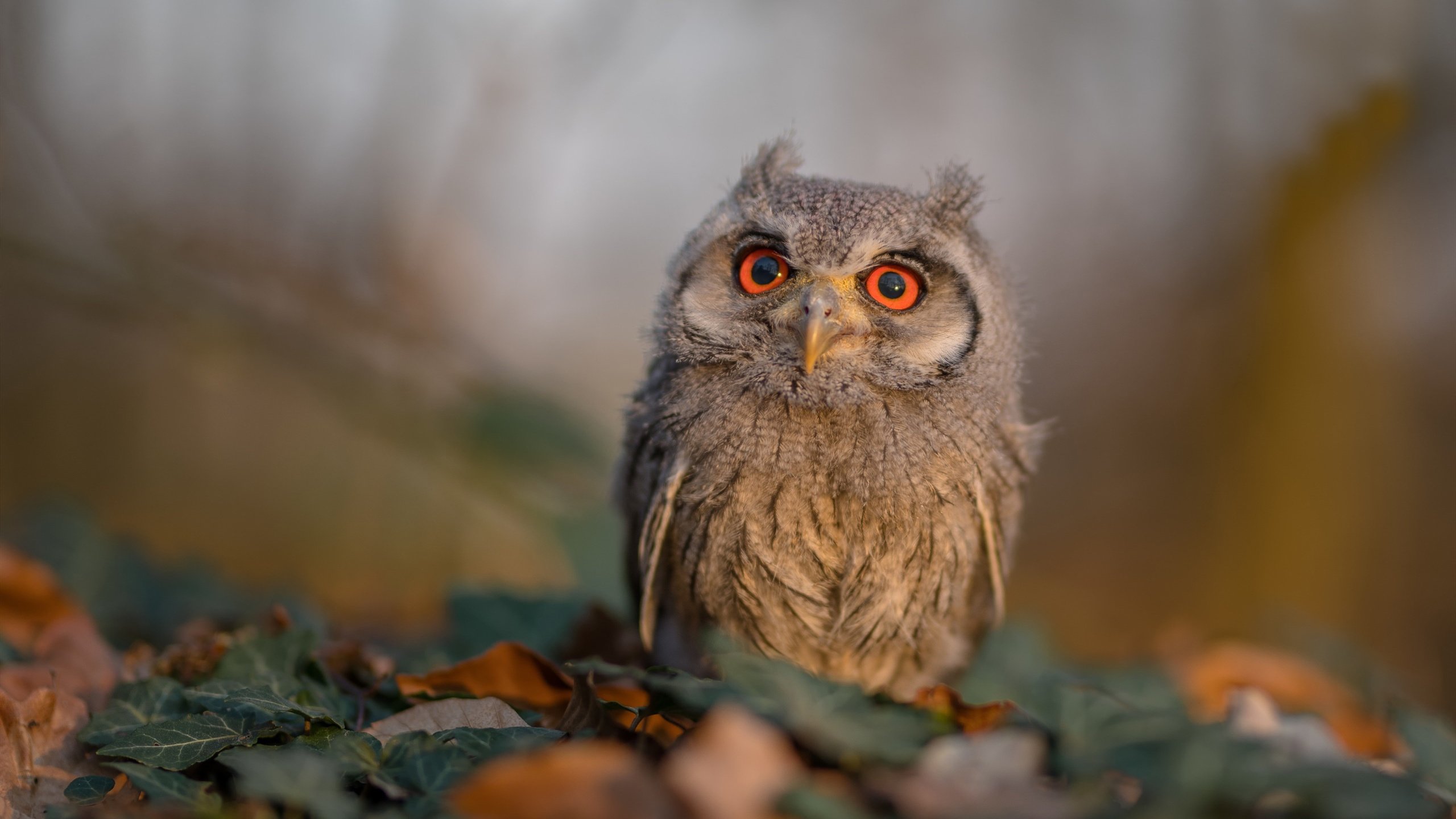 足球传控打法再度流行重塑战局,什么叫传控足球