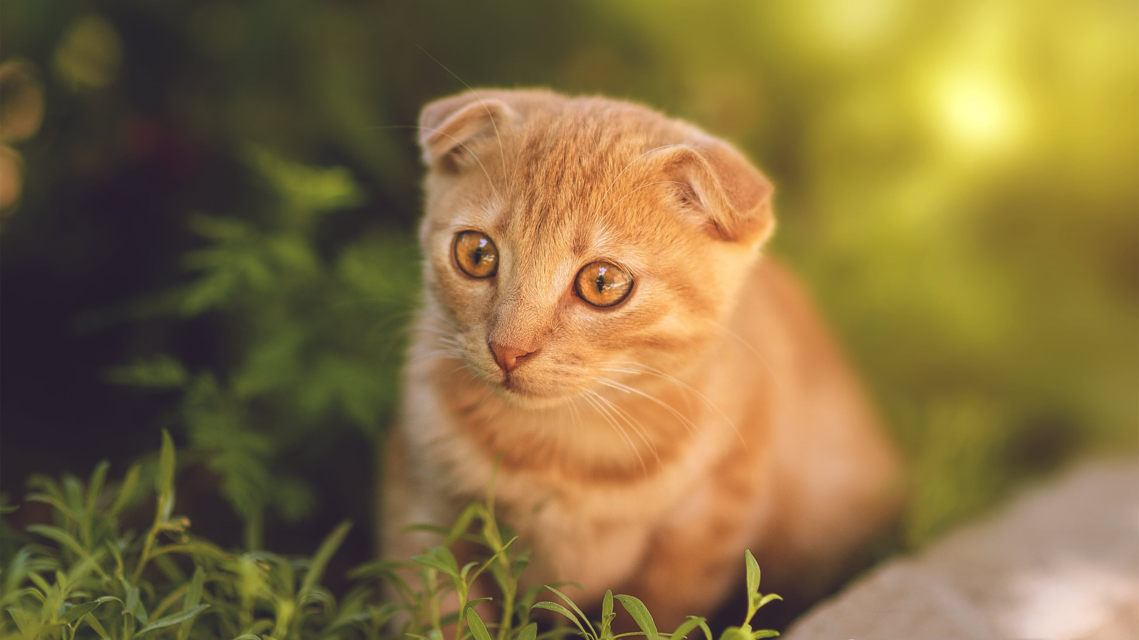 华体会hth网址-世界杯超级对决：战术变换中的精彩体现，超级对决欧洲杯