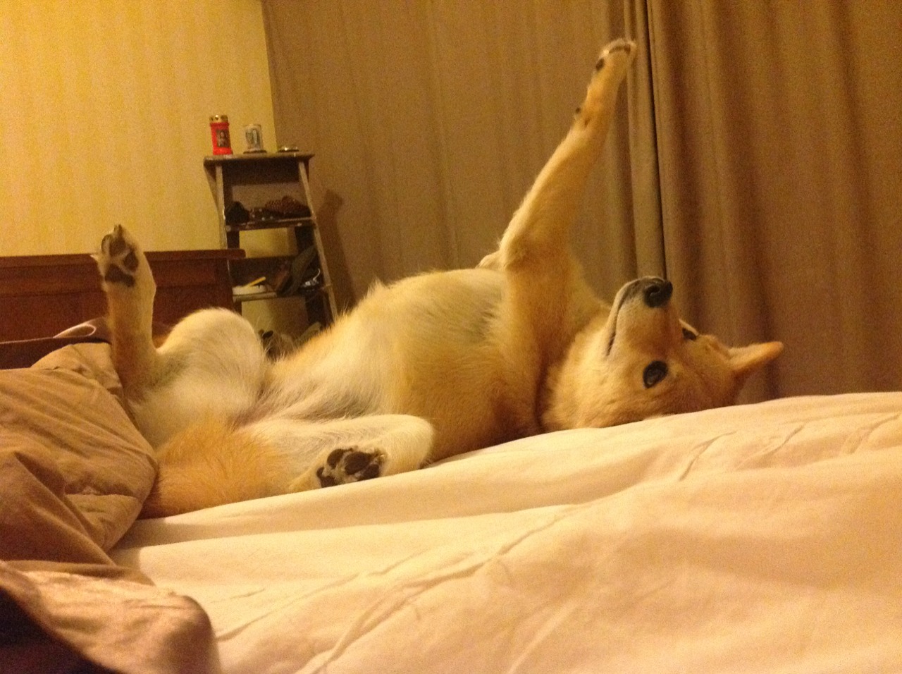 世界杯超级对决:战术变换中的精彩体现,超级对决欧洲杯