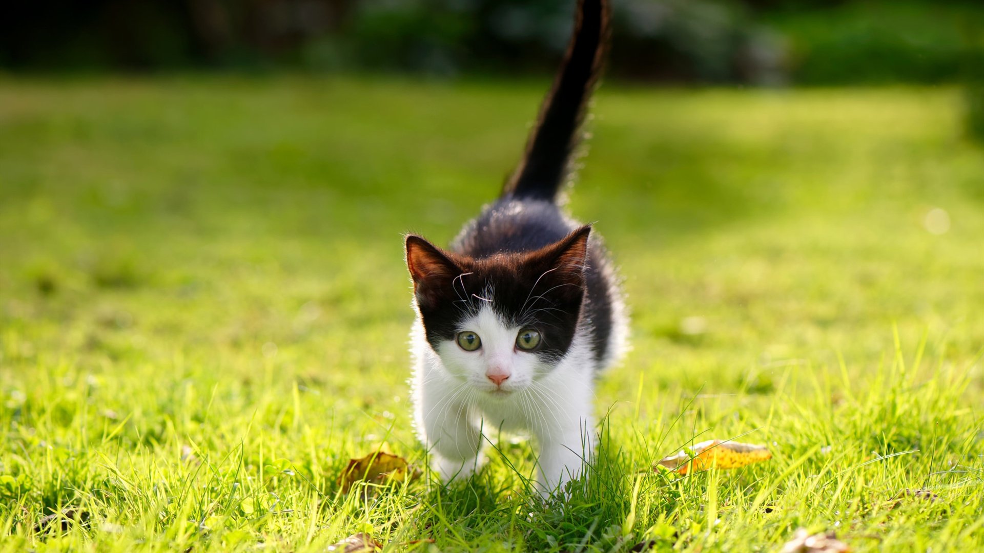 篮球文创设计大赛推动运动与设计融合发展，篮球文化节海报