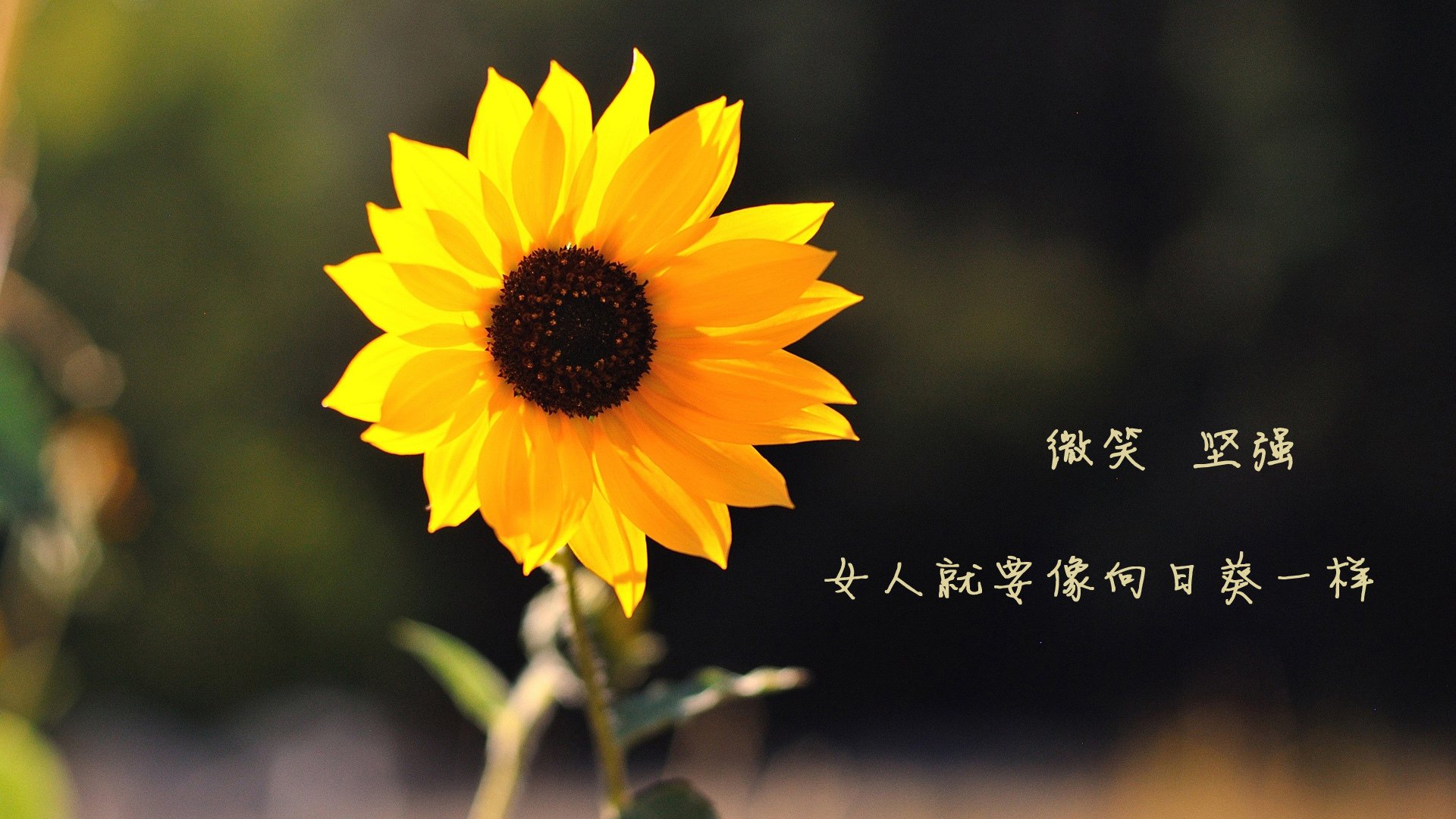 华体会hth官网-训练中强度不断升级球员表现积极展现职业精神与自律态度，职业球员的训练