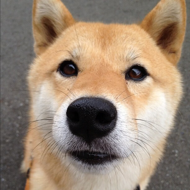 训练中强度不断升级球员表现积极展现职业精神与自律态度，职业球员的训练