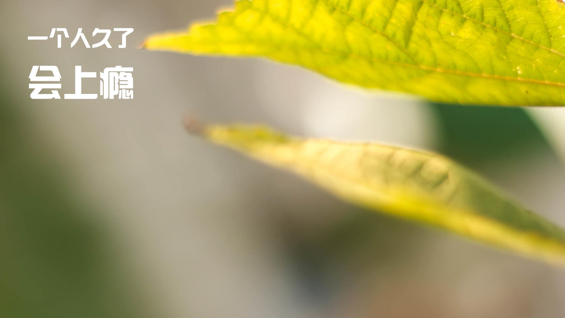 足球青训项目纳入地方财政支持体系稳定发展基础,足球青训政策